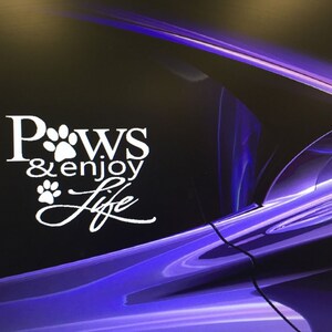 May include: White vinyl decal with the text "Paws & enjoy life" and paw prints on a purple car window.