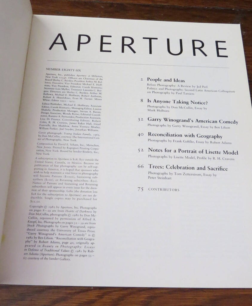 Ben lifson essays 02 image