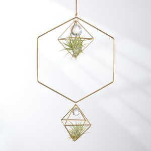 Hanging Air Plant Holder Hexagon with Prism, Air Plant Hanger, Geometric Air Plant, Plant Display, Plant Lover Gift, Air Plant Decor