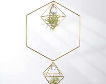 Soporte para plantas de aire colgante hexagonal con prisma, colgador para plantas de aire, planta de aire geométrica, exhibición de plantas, regalo para amantes de las plantas, decoración con plantas de aire