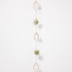 Hanging Air Plant Holder Chain, Brass Air Plant Crystal Suncatcher, Geometric Air Plant Hanger, Hanging Plant Display, Air Plant Gift Ideas