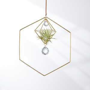 Petite Hanging Air Plant Holder Hexagon with Prism, Air Plant Hanger, Geometric Air Plant, Plant Display, Plant Lover Gift, Air Plant Decor