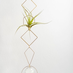 Vert Air Plant Display - I, Air Plant Holder Wall Crystal, Geometric Air Plant Hanger, Brass Air Plant Holder Wall,Housewarming Gift Planter