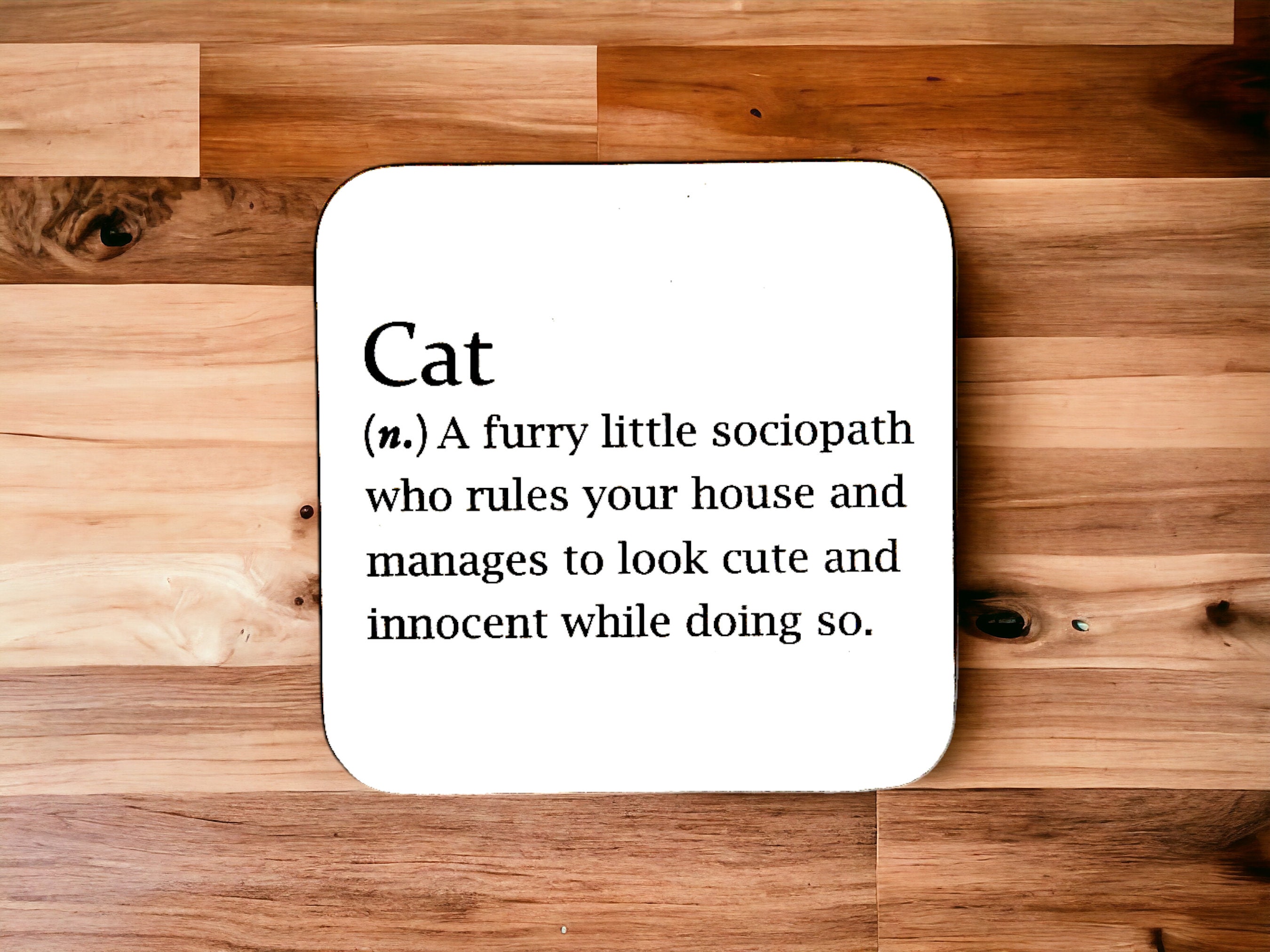 Sarcastic 'Cat' dictionary definition coaster, funny coaster, perfect gift