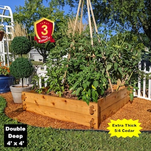 May include: A raised garden bed made of cedar wood with a 3-year warranty. The bed is 4 feet by 4 feet and is double deep. The bed is filled with soil and has a variety of plants growing in it, including tomatoes and peppers. The bed is surrounded by brown mulch.