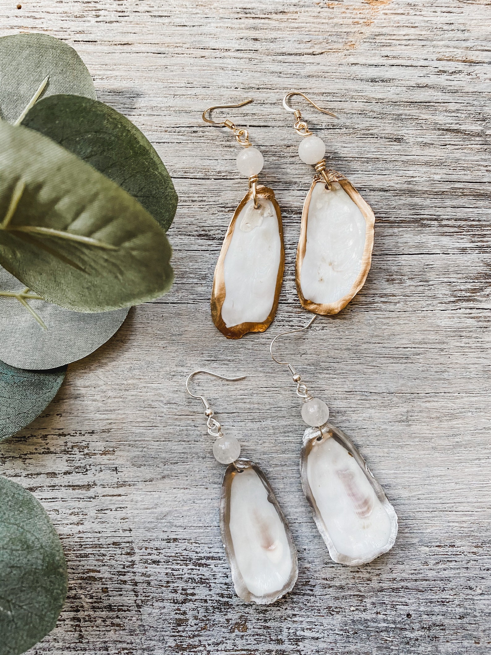Oyster Shell Earrings Etsy