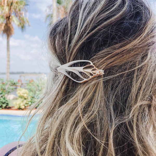 Shell hair clips