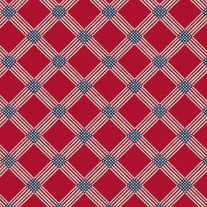 SALUTE Old Glory Plaid Red A-8858-LR door Kathy Hall voor Andover - Reproductie - 100% Premium Quilt Shop Katoenen Stof