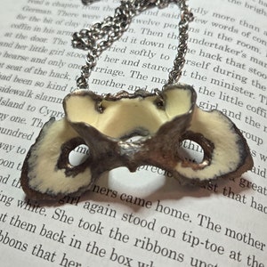 May include: A necklace featuring a ceramic pendant shaped like a human pelvis bone. The pendant is painted in a cream color with brown and black accents. The necklace is made of a silver chain.