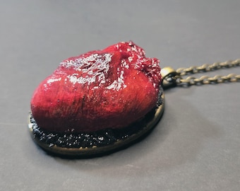 Wild Hearts: Preserved Raccoon Heart Pendant Real Organ Necklace Witchy Curio Jewelry Occult  Dark Academia Oddities Collectors Witchcore