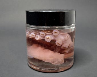 Cephalopod Curiosities: Real Octopus Tentacle Wet Specimen in Glass Jar with Black Lid – Marine Curio, Nautical Oddity, Ocean Display Jar