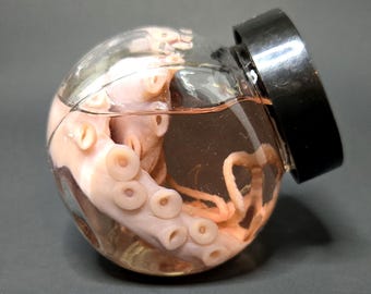 Cephalopod Curiosities: Real Octopus Tentacle Wet Specimen in Glass Jar with Black Lid – Marine Curio, Nautical Oddity, Ocean Display Jar