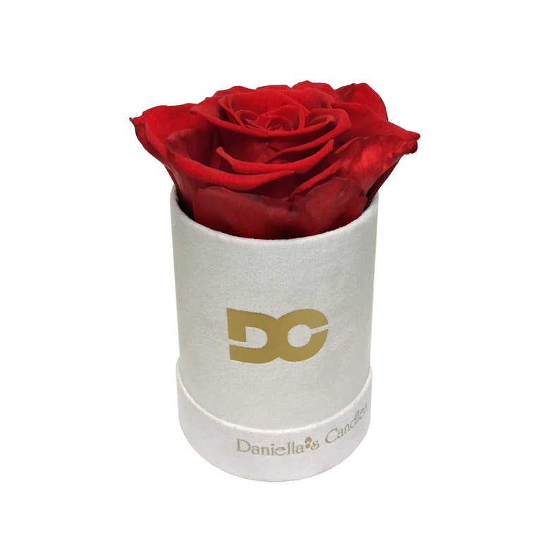 Personalized Single Preserved Red Rose, Long Lasting, Suede Box, Perfect Gift Idea white