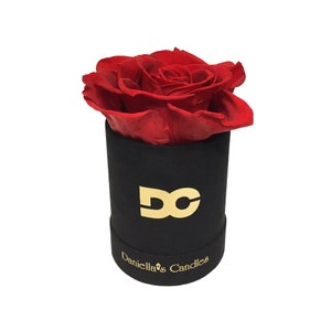 Personalized Single Preserved Red Rose, Long Lasting, Suede Box, Perfect Gift Idea black