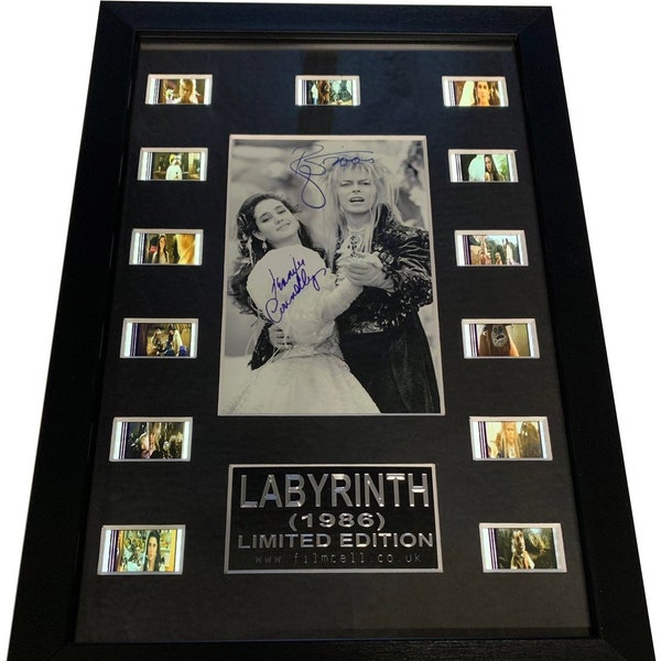 Lightbox Labyrinth Signed David Bowie & jennifer connelly (1986) collectable 35mm original filmcell