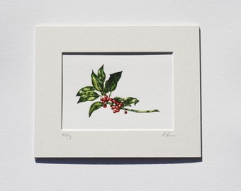 Holly and Berries Fine Art Print