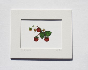 Wild Strawberries Fine Art Print