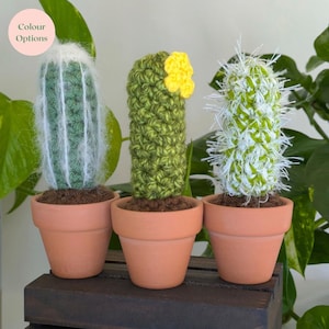 Crochet Cactus Plant in Terracotta Pot: Handmade Botanical Decor