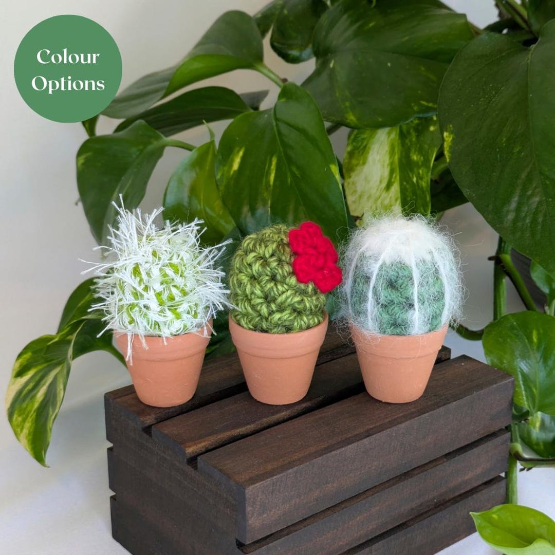Crochet Cactus in Terracotta Pot: Handmade Plant Lover Gift - Etsy UK