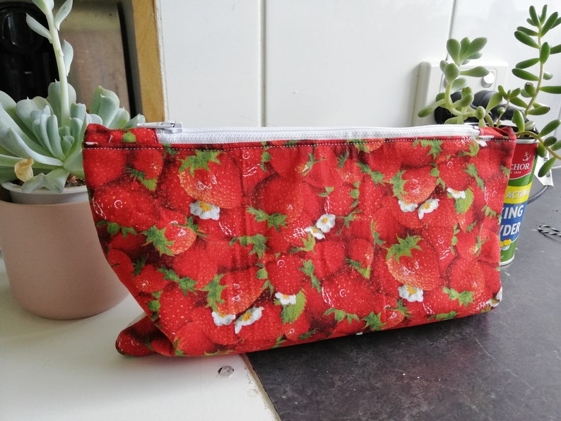 jansport strawberry pencil case