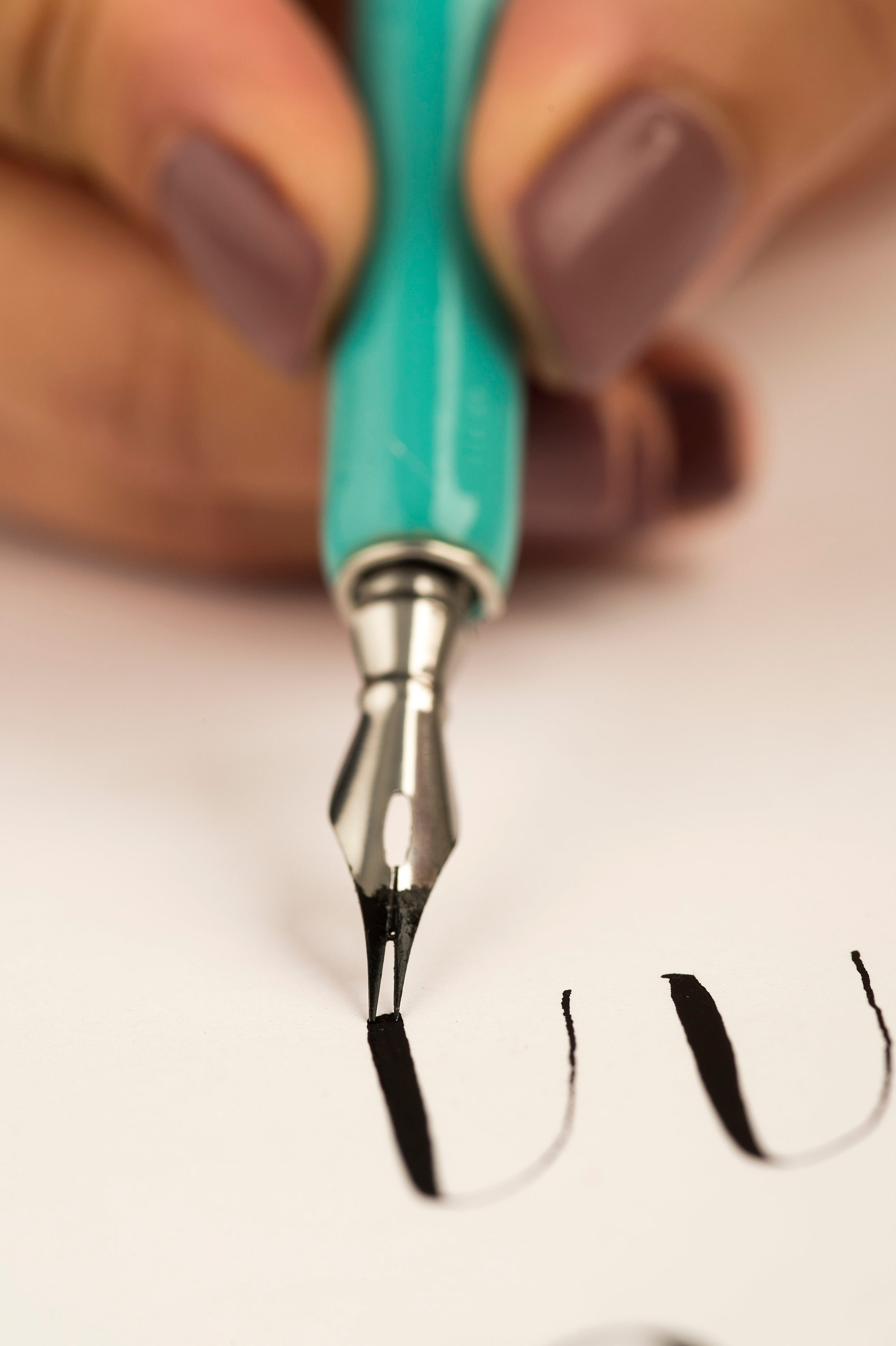 Beginner Modern Calligraphy Kit Etsy