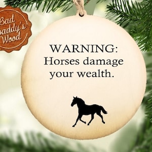 Funny Horse Ornament Horse Christmas Ornament Holiday Gift for Horse Lover Horse Rider Equestrian Present for Riding Instructor
