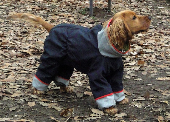 goretex dog jacket