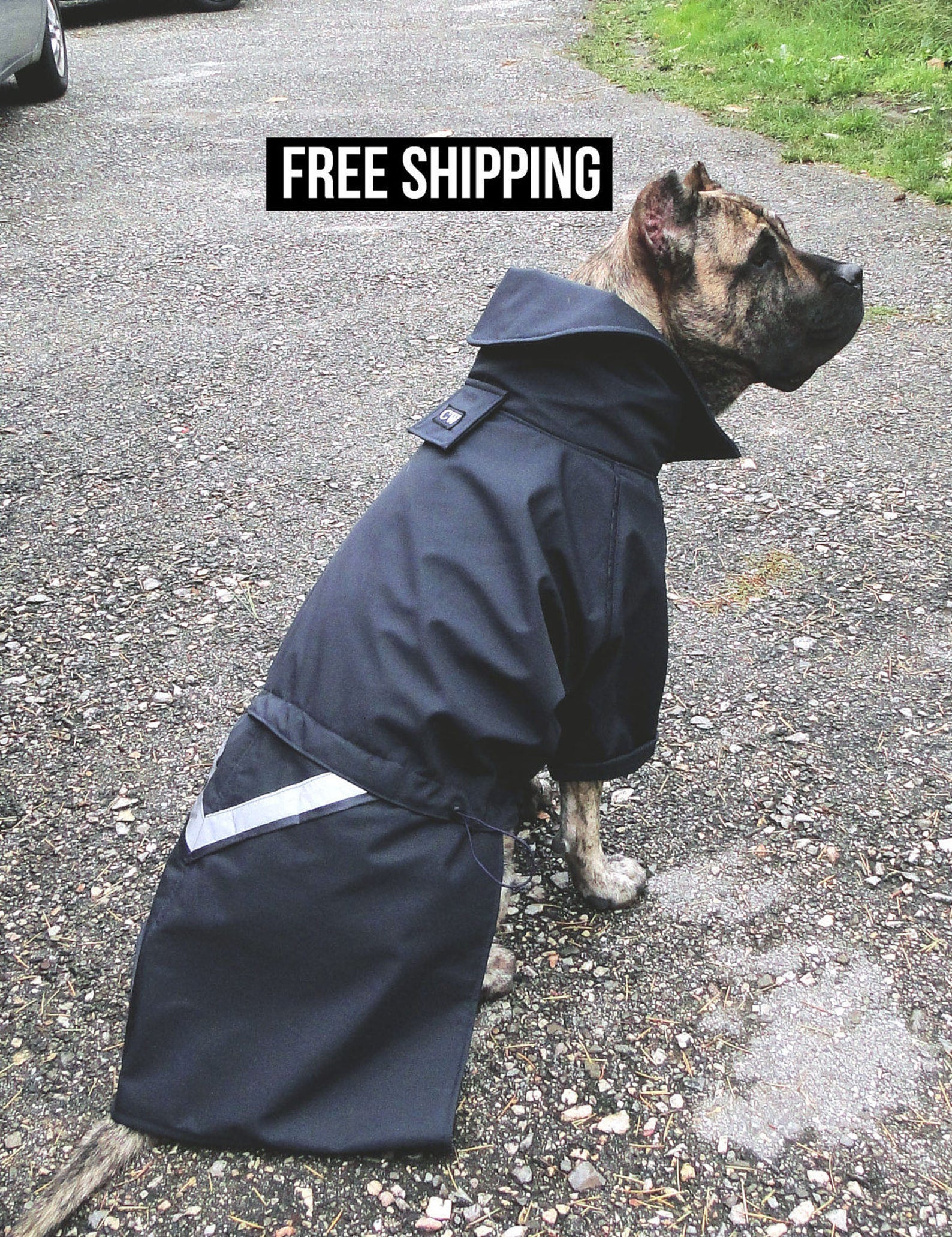 Large Dog Raincoat Winter coat EXPLORER Etsy