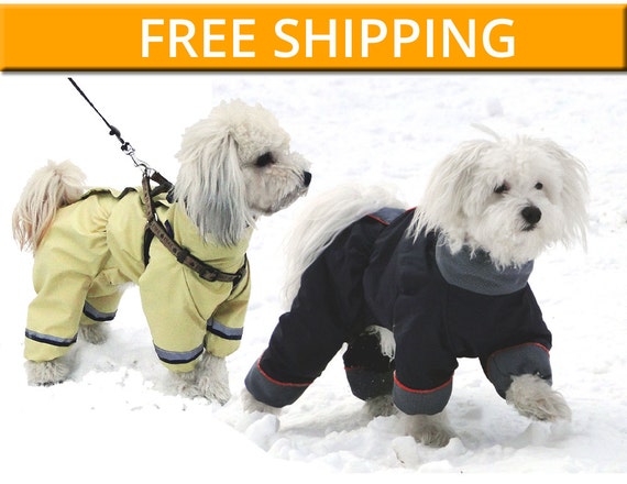 Dog winter 4leg Suit FIGARO | Etsy