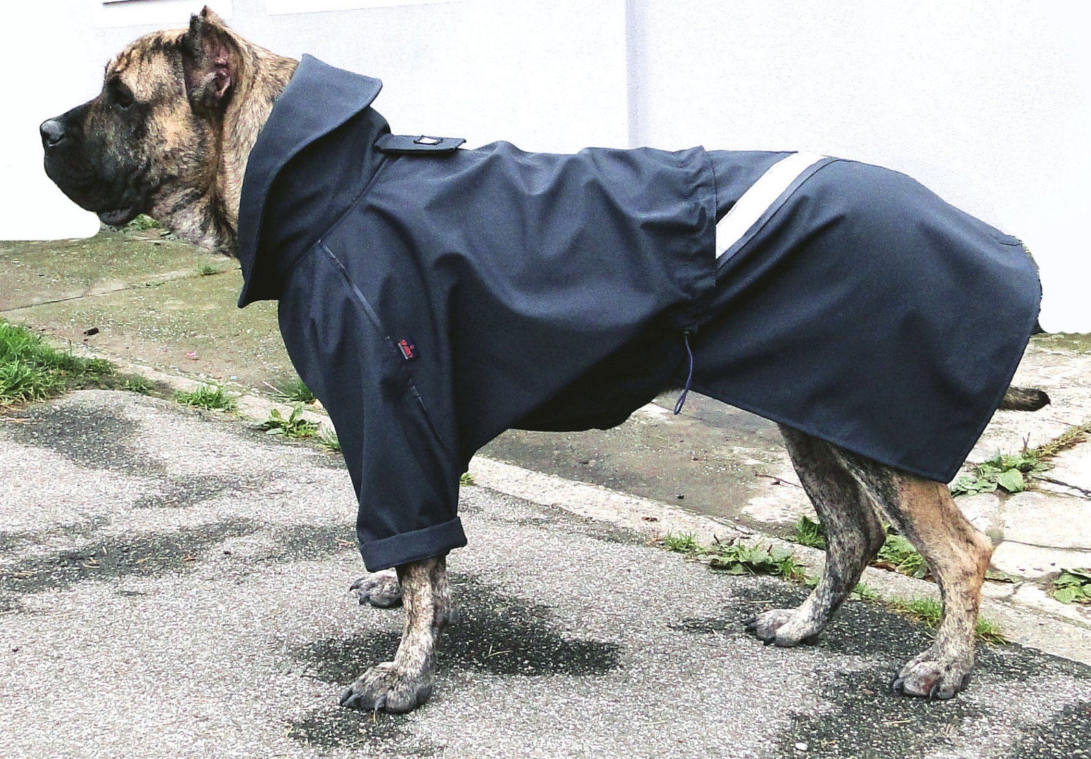 Large Dog Raincoat Winter coat EXPLORER Etsy