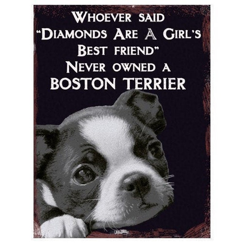 Vintage BOSTON TERRIER Metal Wall Sign Etsy