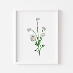Watercolor Daisy Flower | Painted Botanical Flower Art Print | Grand millennial Home Decor | Daisy Floral Painting | Birthflower Wall Art |
