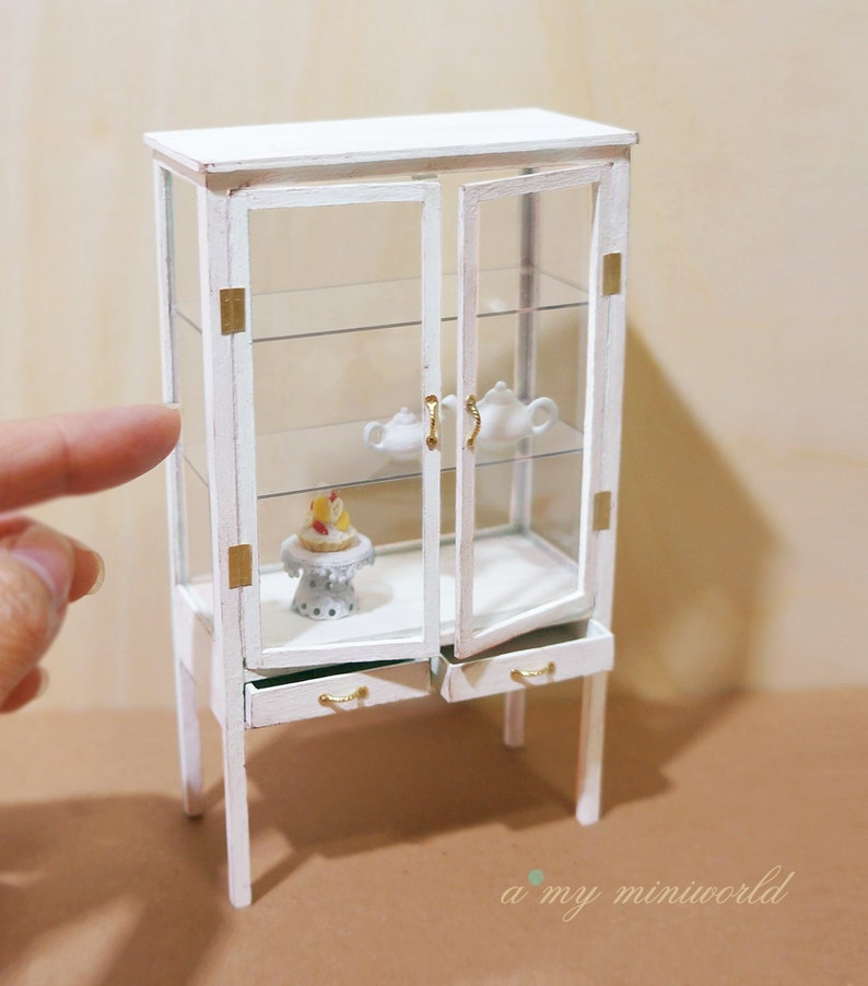 dollhouse display case