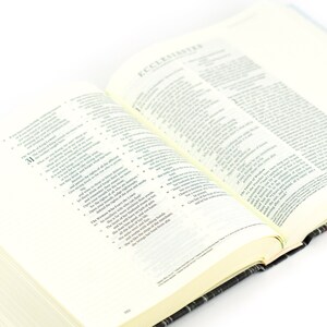 ESV Journaling Bible: Leona Theme image 7