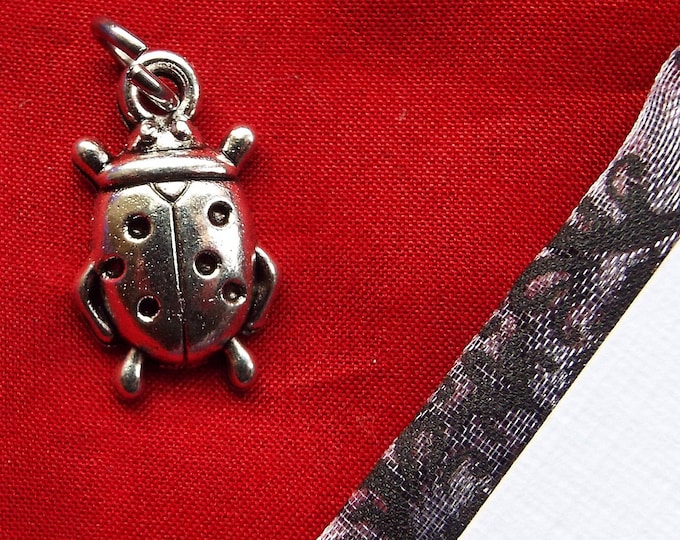PE-0082B - Lady Bug Pendant - Chatelaine, Watch Chain Charm, Victorian Pendant, Equipage Charm, Lady Bug Charm