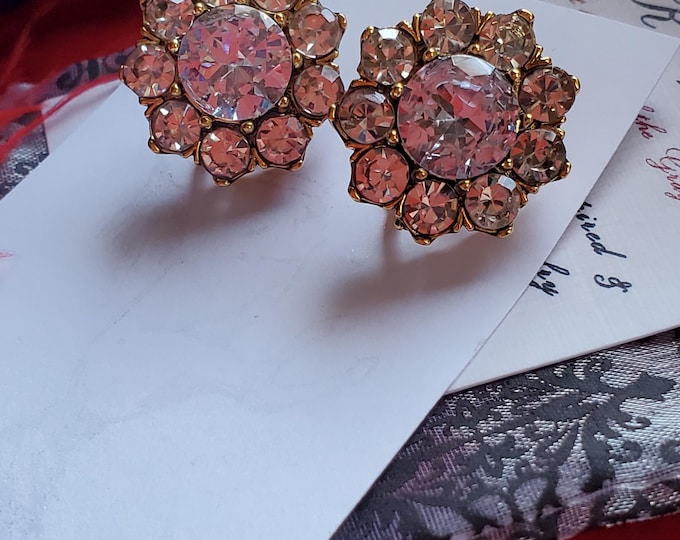 E-0550 - Forget Me Not Cluster Earrings - 18th Century, Regency, Crystal Flowers