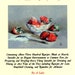 A Book Of Cookery By A Lady Compilation Cookery Book With Etsy