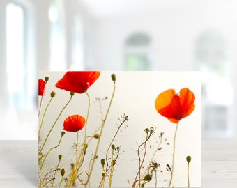 Poppy Flowers Greeting Card, Red and White Photography