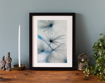 Dandelion Flower Giclée Photographic Print, Living Room Art, Giclee fine art print, mounted print or framed print