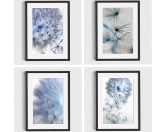 Dandelion Photo Prints, Set of 4 Flower Photography Giclee fine art prints, mounted prints or framed prints