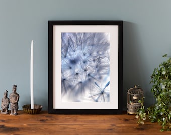 Dandelion Flower Photo Print, Giclee fine art photographic print, mounted print or framed print