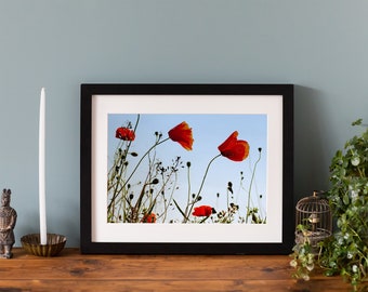 Poppy Field Print, Flower Photography Home Decor, Giclee fine art print, mounted print or framed print