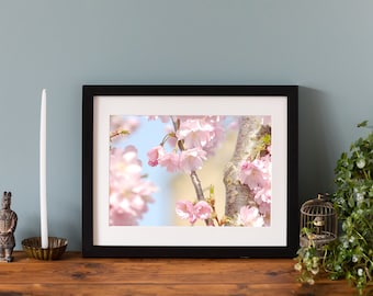 Pink Blossom Print, Flower Photography Wall Decor, Giclee fine art print, impression montée ou encadrée