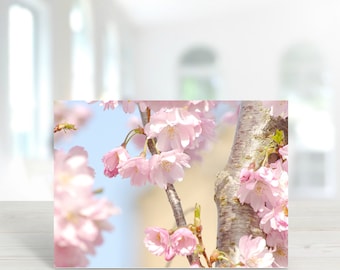 Pink Blossom Flower Greeting Card, Photographic art