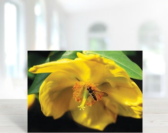 Carte de vœux d’abeille, photographie de fleurs jaunes