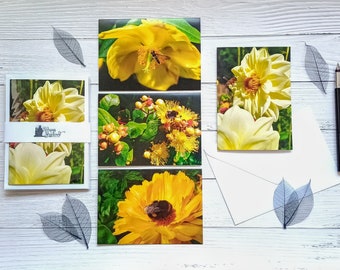 Bee & Flowers Greeting Card pack, blank 4 Card Multipack