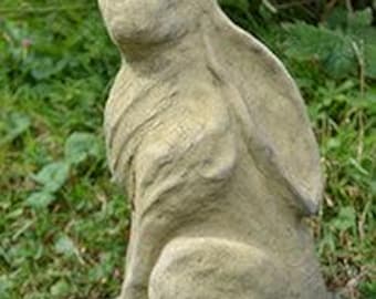 Small Moon Gazing Hare