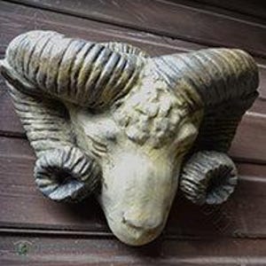 Rams head wall planter decorative stone home or garden ornament wall decor 25cm/10" H
