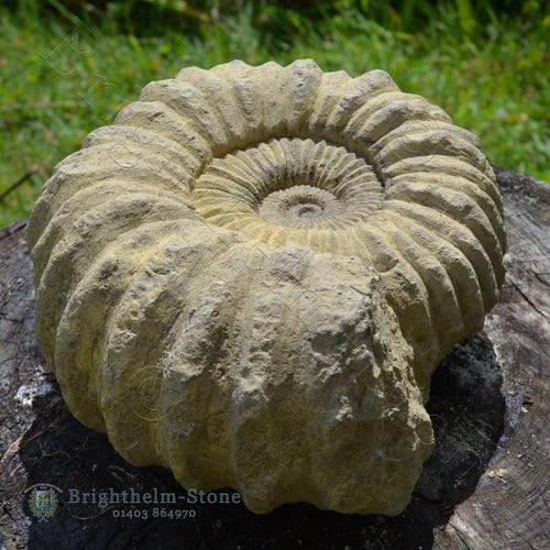 Ammonite fossil decorative stone home or garden ornament