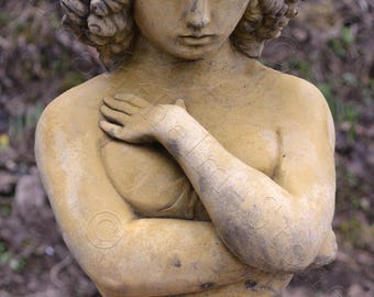 Minnie Bust